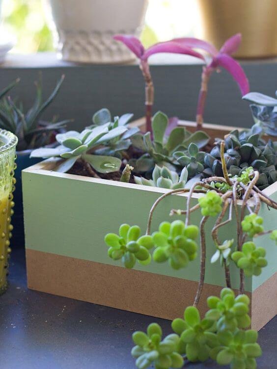 23 Creative DIY Succulent Planter Ideas To Place On Desk And Tabletop - 185