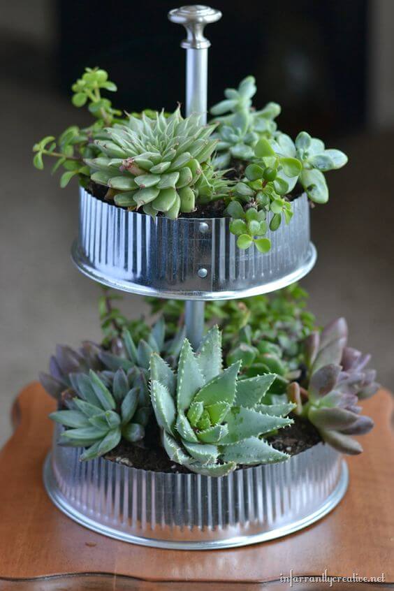 23 Creative DIY Succulent Planter Ideas To Place On Desk And Tabletop - 189