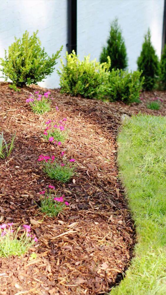 20 Garden Lawn Edging Ideas - 161