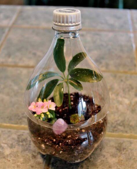 25 Fun and Practical Plastic Bottle Crafts For Home And Garden - 183