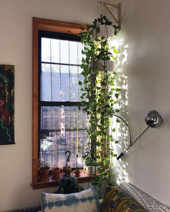 21 Inspiring Indoor Plant Corner Ideas - 135