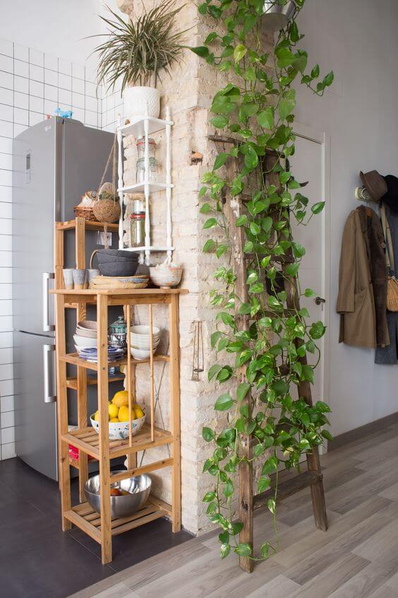 21 Inspiring Indoor Plant Corner Ideas - 139