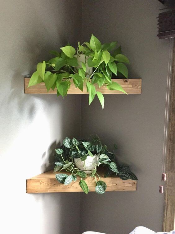 21 Inspiring Indoor Plant Corner Ideas - 143