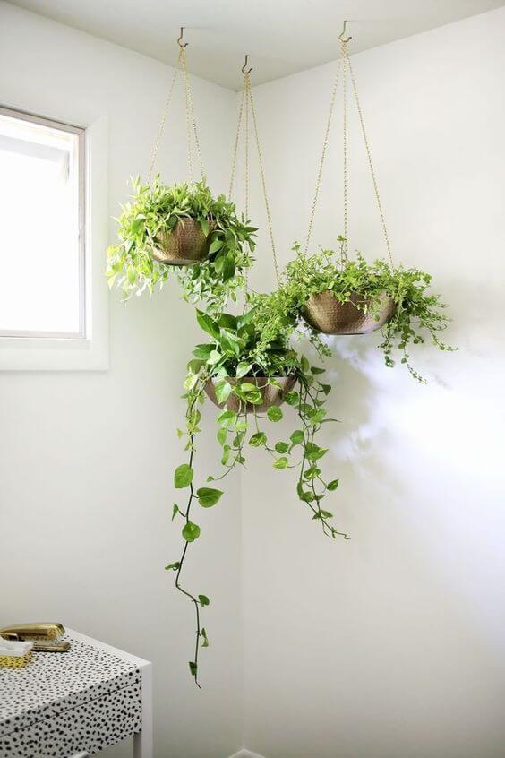 21 Inspiring Indoor Plant Corner Ideas - 147