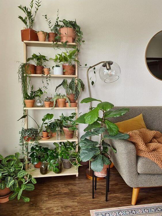 21 Inspiring Indoor Plant Corner Ideas - 149