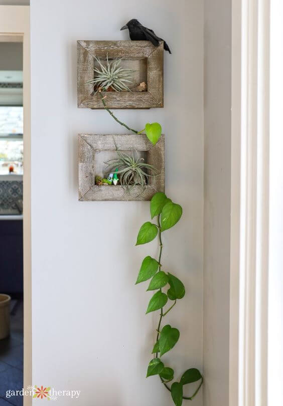 21 Inspiring Indoor Plant Corner Ideas - 151
