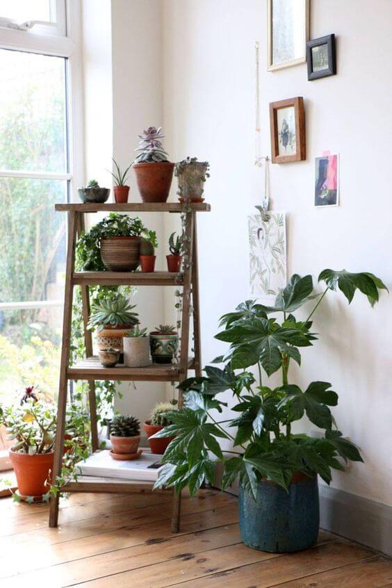 21 Inspiring Indoor Plant Corner Ideas - 155