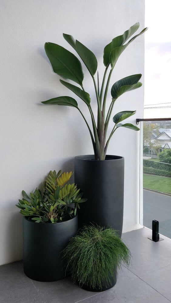 21 Inspiring Indoor Plant Corner Ideas - 157