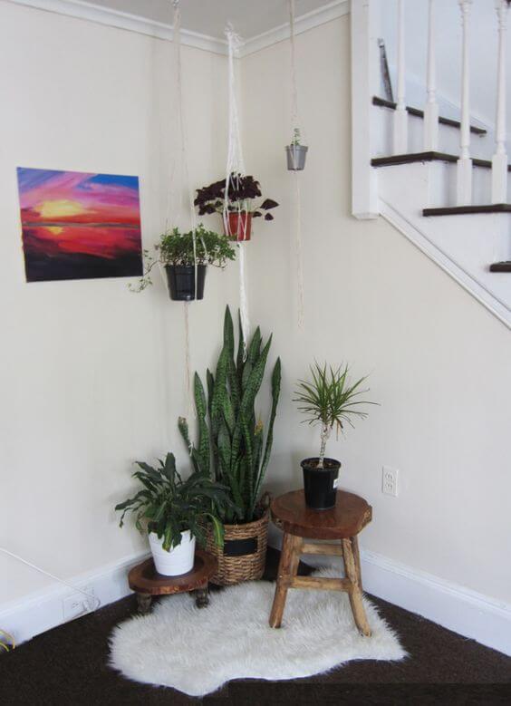 21 Inspiring Indoor Plant Corner Ideas - 165
