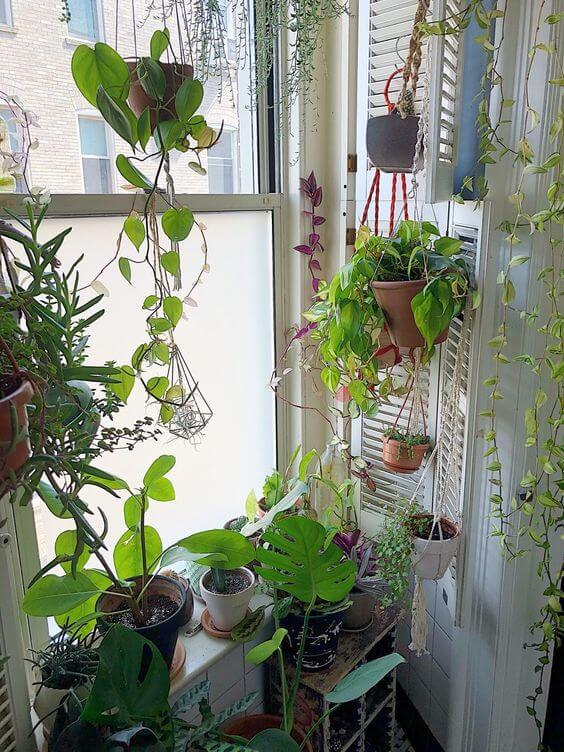 21 Inspiring Indoor Plant Corner Ideas - 169