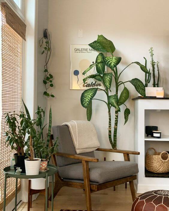 21 Inspiring Indoor Plant Corner Ideas - 171