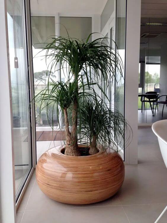 21 Inspiring Indoor Plant Corner Ideas - 173