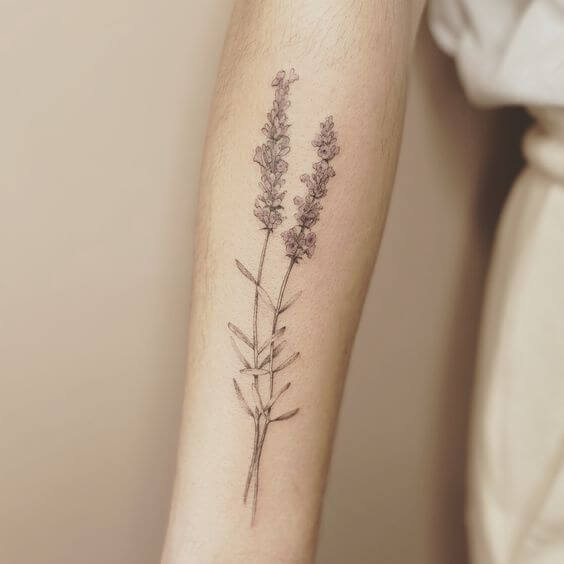Double Lavender Tattoo