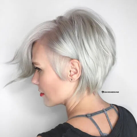 Side-Parted Silver Pixie-Bob