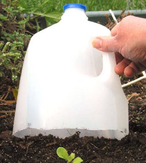 Useful Plastic Milk Jug Crafts Ideas For Your Home And Garden - 121