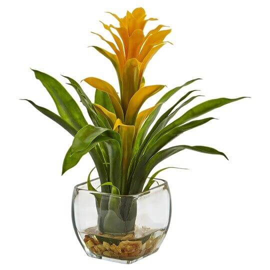 Best 25 Houseplants You Can Propagate In Water Vases - 195