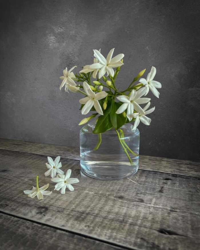 25 Fragrant Flowers You Can't Resist For Your House - 201