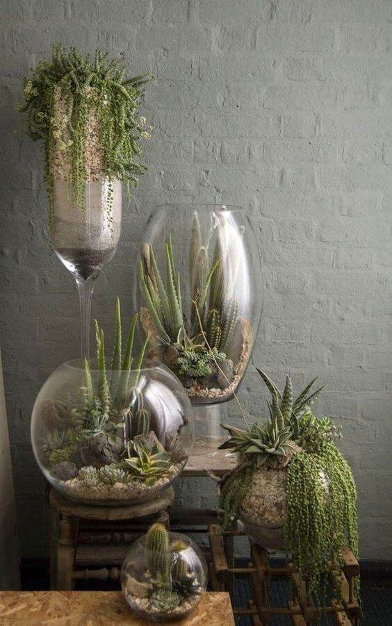 47 Stunning Ways to Display Plants in Your Living Space - 289
