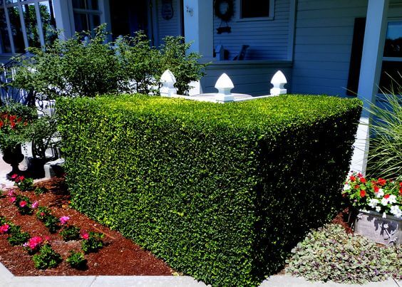 20+ Conditioner Landscaping Ideas - 147