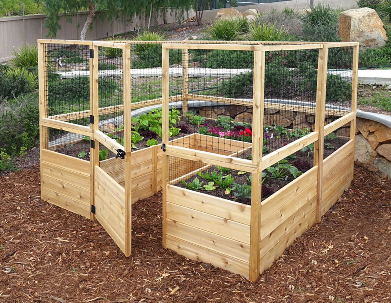 The 20 Best Vegetable Garden Layouts To Try - 147