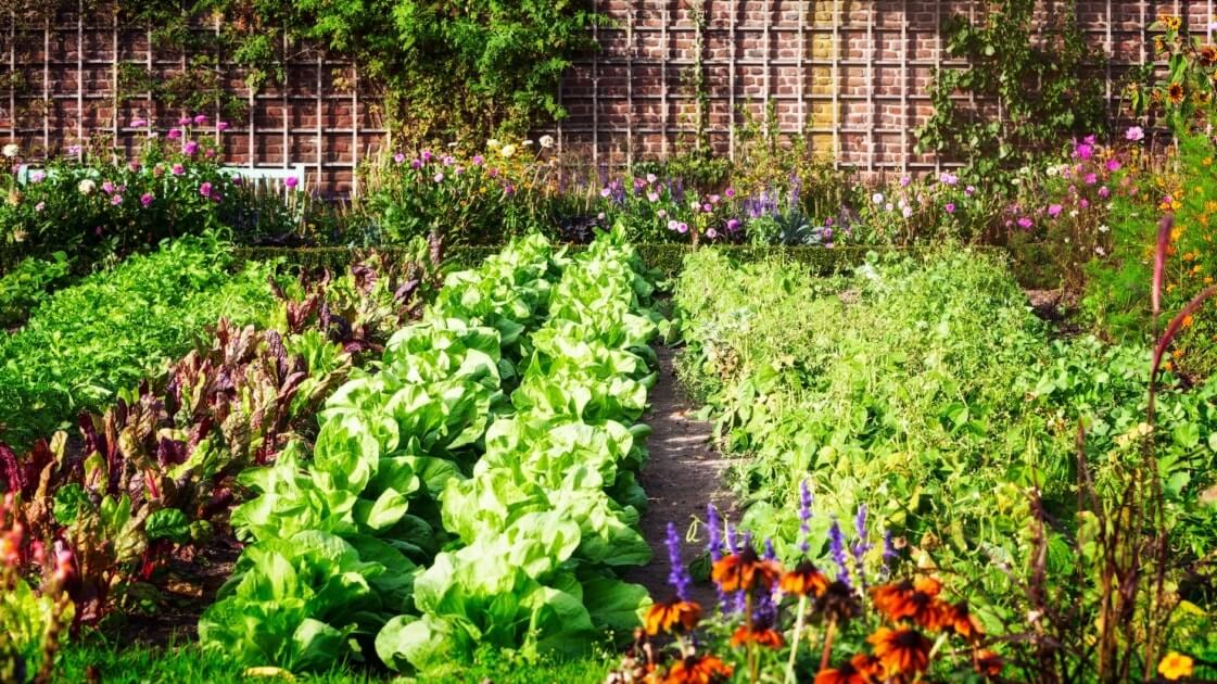 The 20 Best Vegetable Garden Layouts To Try - 123