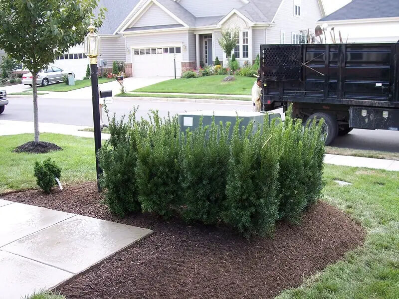 20+ Conditioner Landscaping Ideas - 151