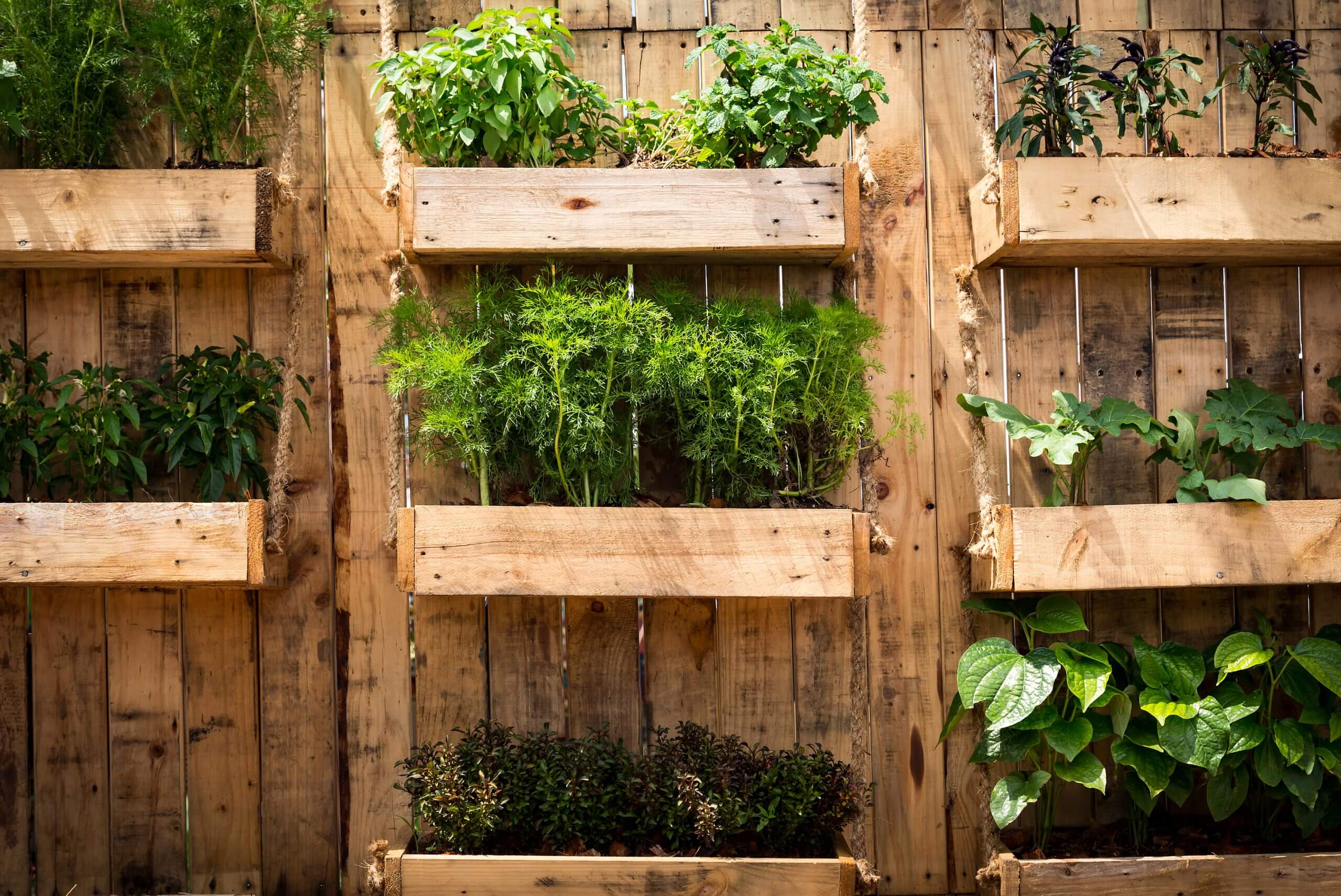 The 20 Best Vegetable Garden Layouts To Try - 121