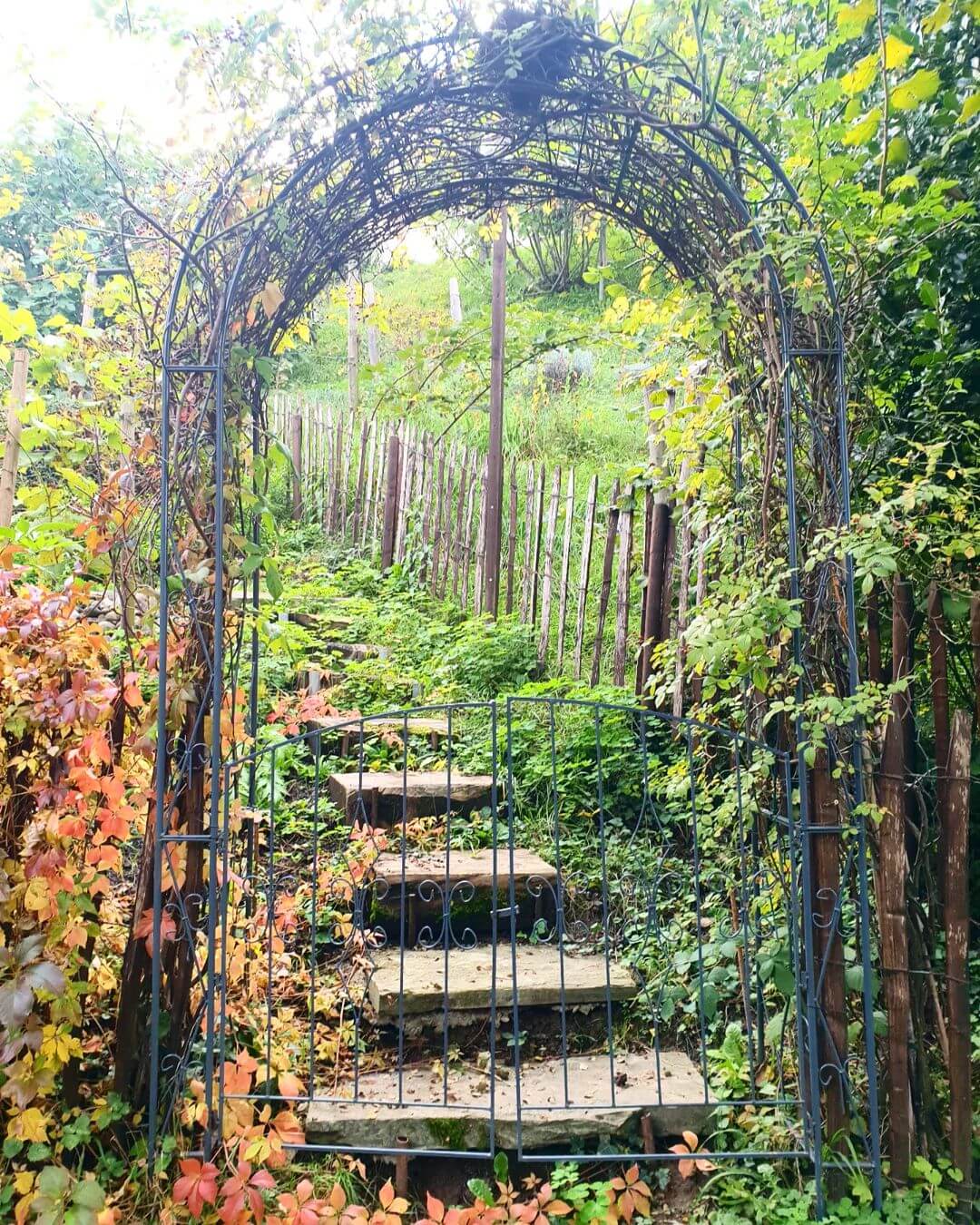 20+ Gorgeous Garden Gate Landscaping Ideas - 195