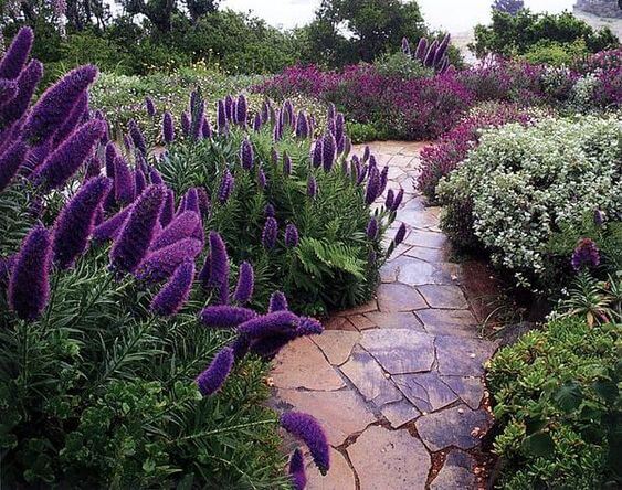 41 Stunning Yard Landscaping Ideas with Purple Plants - 259