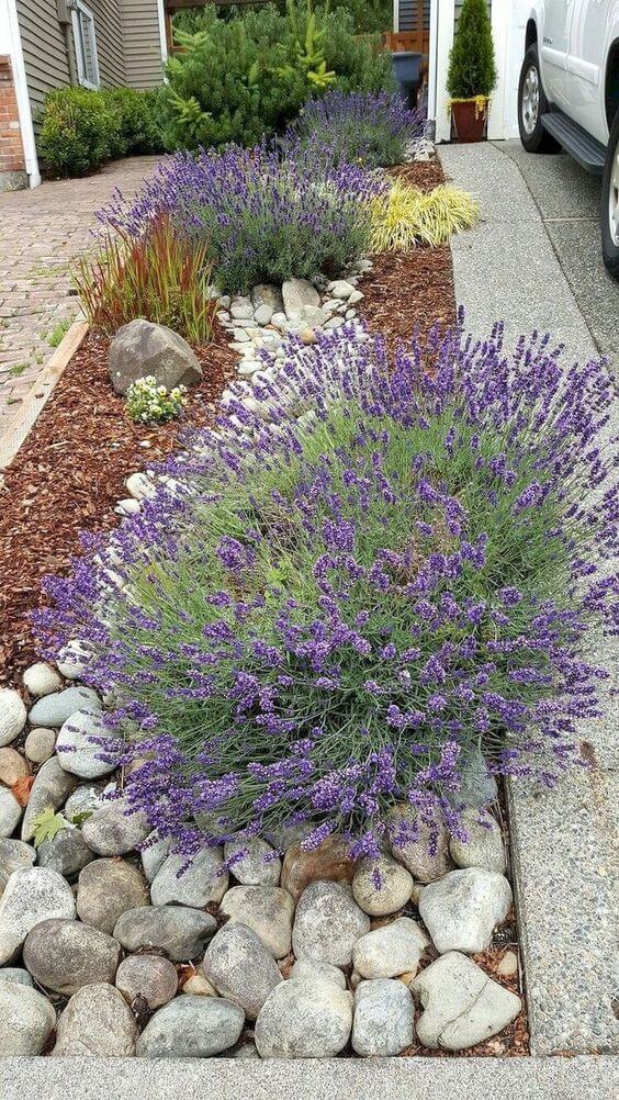 41 Stunning Yard Landscaping Ideas with Purple Plants - 261