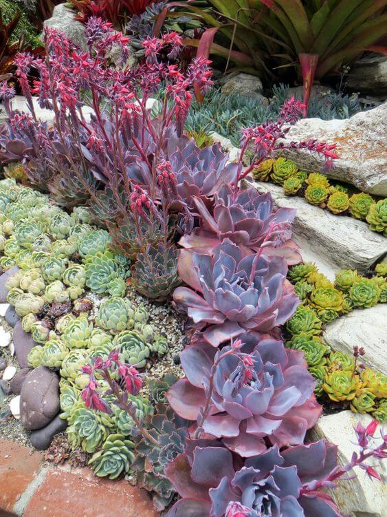 41 Stunning Yard Landscaping Ideas with Purple Plants - 263