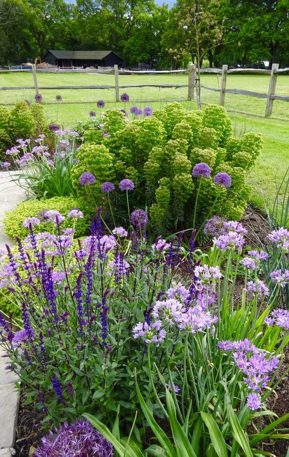 41 Stunning Yard Landscaping Ideas with Purple Plants - 265