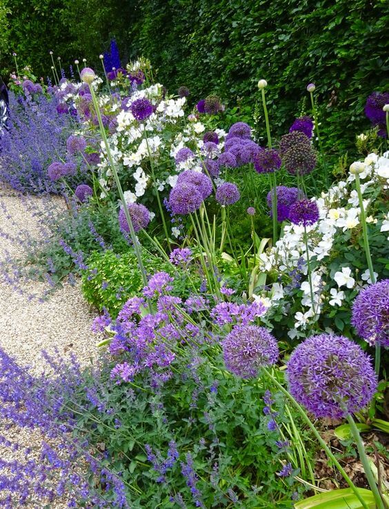 41 Stunning Yard Landscaping Ideas with Purple Plants - 269