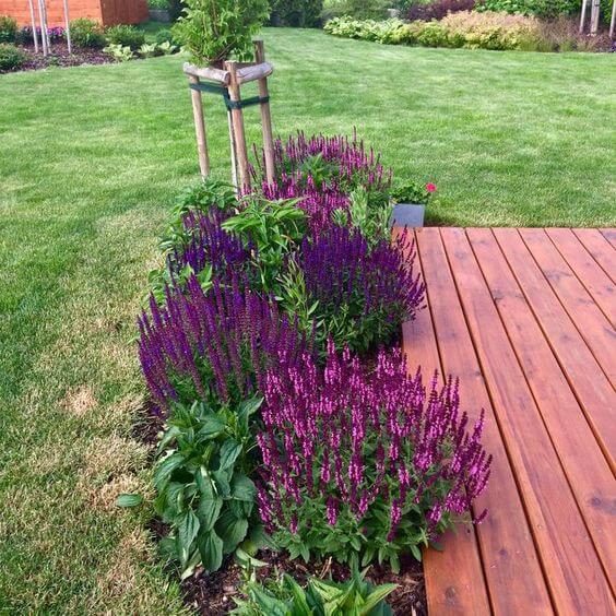 41 Stunning Yard Landscaping Ideas with Purple Plants - 275