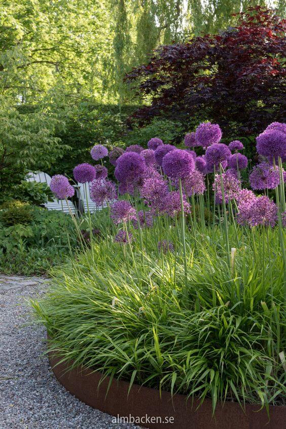 41 Stunning Yard Landscaping Ideas with Purple Plants - 277