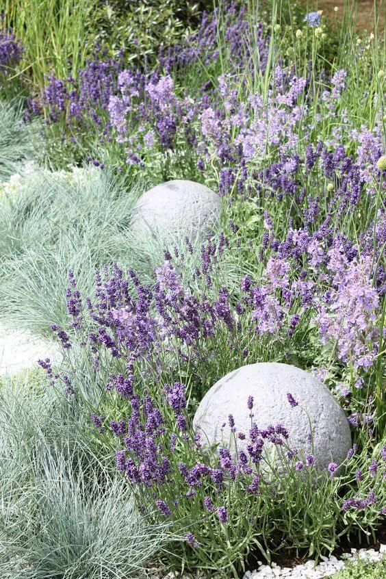41 Stunning Yard Landscaping Ideas with Purple Plants - 281