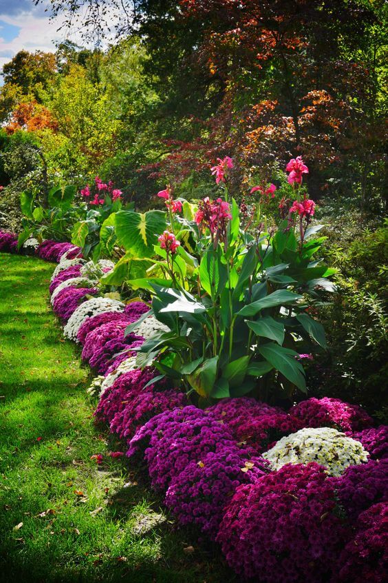 41 Stunning Yard Landscaping Ideas with Purple Plants - 291