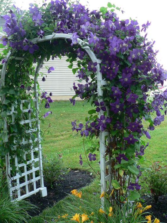 41 Stunning Yard Landscaping Ideas with Purple Plants - 293