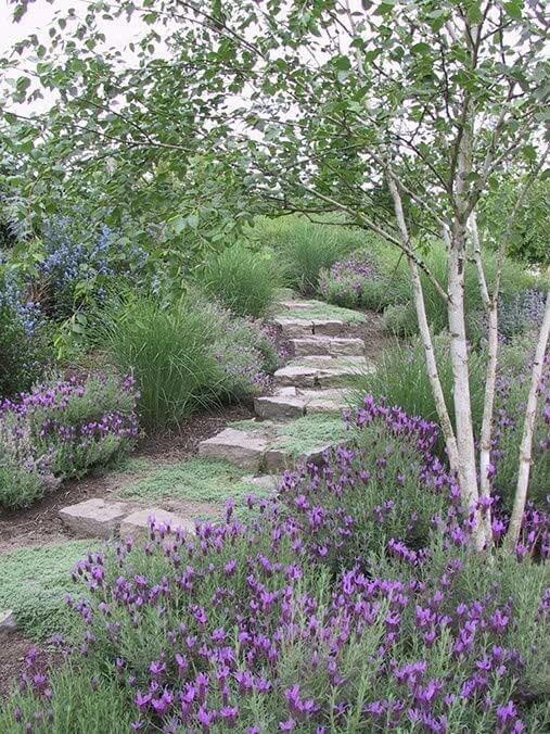 41 Stunning Yard Landscaping Ideas with Purple Plants - 295