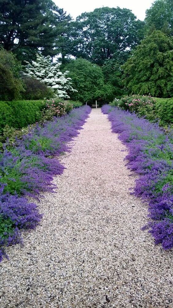 41 Stunning Yard Landscaping Ideas with Purple Plants - 303