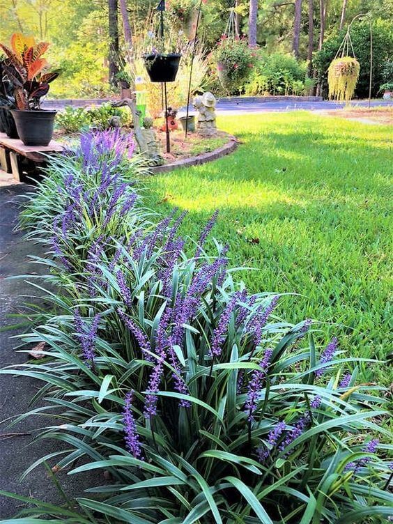 41 Stunning Yard Landscaping Ideas with Purple Plants - 305