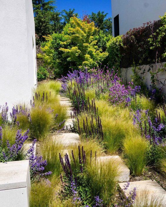 41 Stunning Yard Landscaping Ideas with Purple Plants - 311