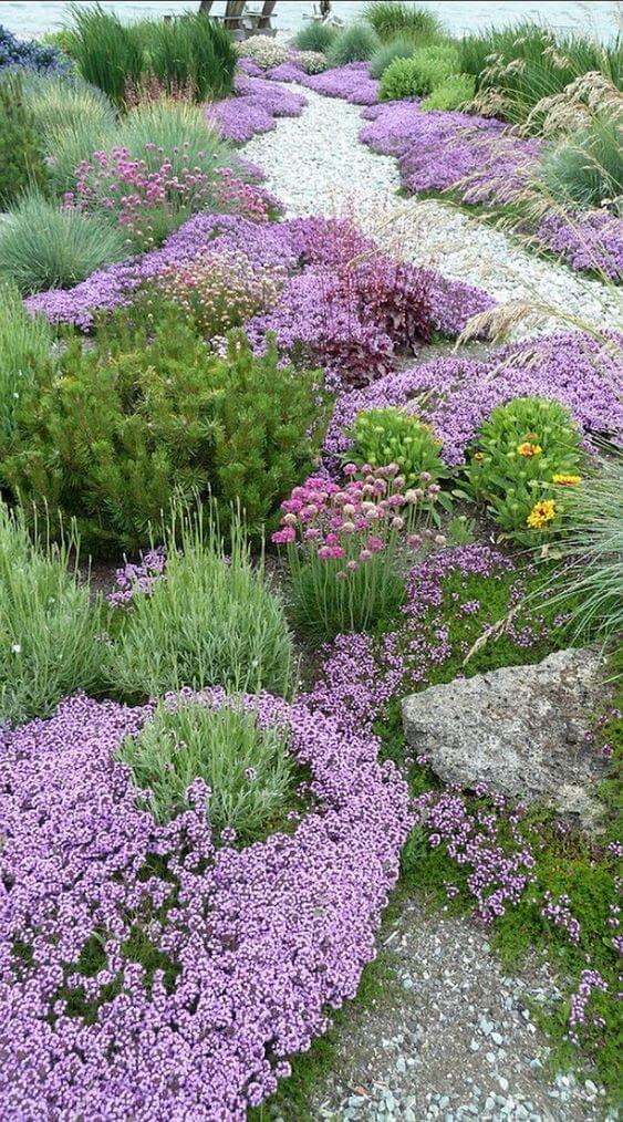 41 Stunning Yard Landscaping Ideas with Purple Plants - 313