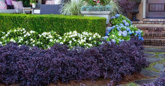 41 Stunning Yard Landscaping Ideas with Purple Plants - 327