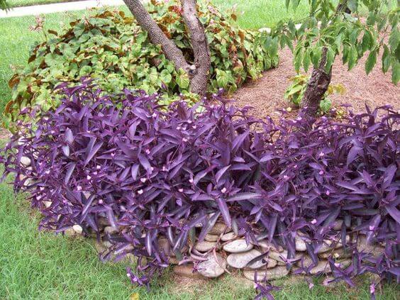 41 Stunning Yard Landscaping Ideas with Purple Plants - 317
