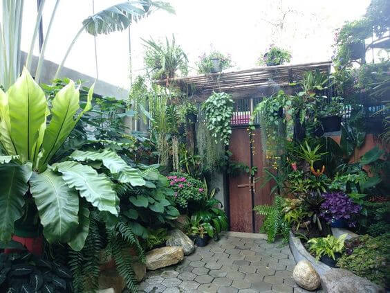 38 Stunning Ideas to Turn Your Boring Garden into a Cool Tropical Garden - 241