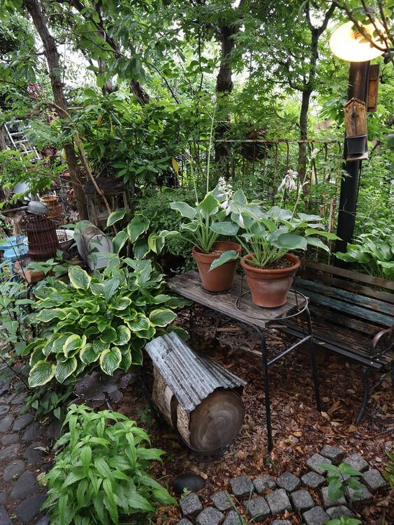 38 Stunning Ideas to Turn Your Boring Garden into a Cool Tropical Garden - 243