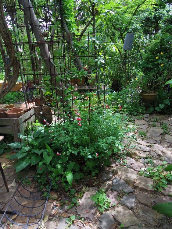 38 Stunning Ideas to Turn Your Boring Garden into a Cool Tropical Garden - 245