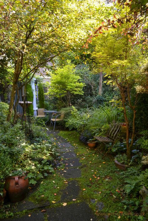 38 Stunning Ideas to Turn Your Boring Garden into a Cool Tropical Garden - 251