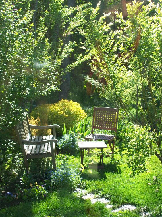 38 Stunning Ideas to Turn Your Boring Garden into a Cool Tropical Garden - 255